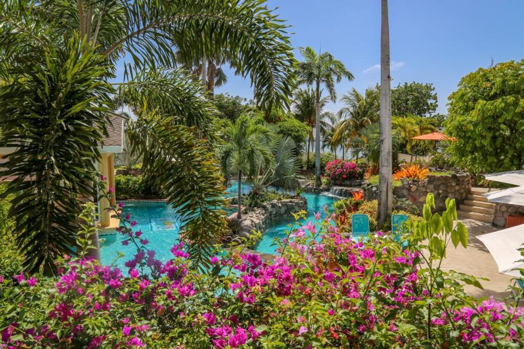 Ocean Terrace Inn Hotel Basseterre Eksteriør bilde
